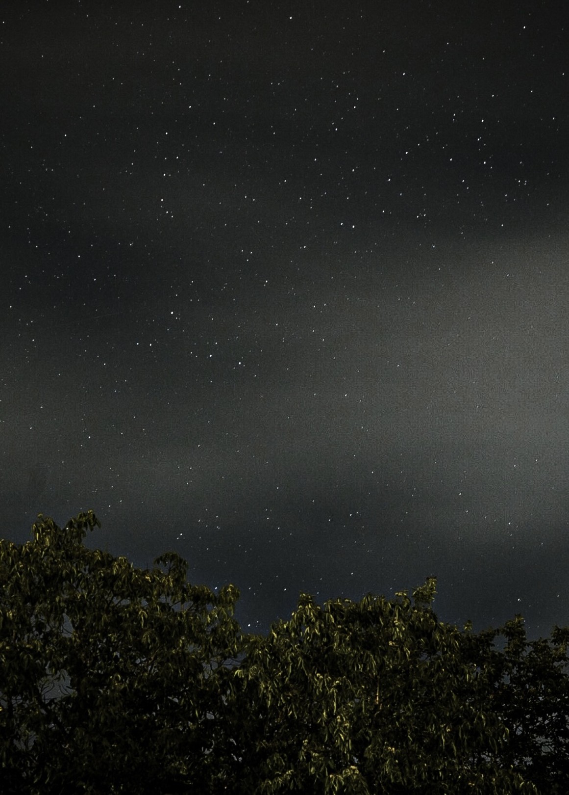 688131b2e4376_pict250717_0016270000